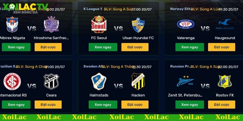 Link xem bóng đá Đức có những giải đấu nào hấp dẫn