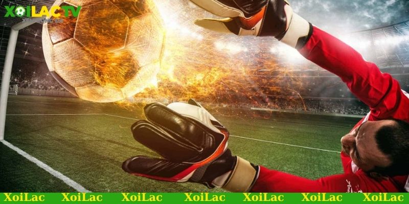 Soi Kèo Bóng Đá Việt Nam Chuẩn Xác Nhất Cùng Xoilac 3 Trang bóng đá chuyên soi kèo bóng đá Việt Nam cho các giải đấu nào