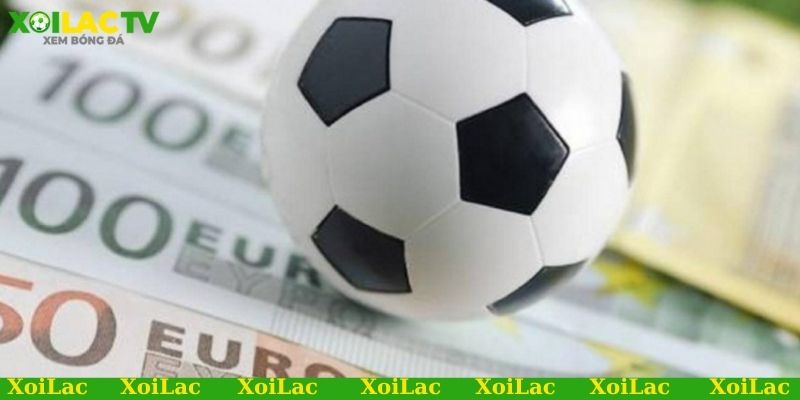 Vì sao nên tìm kiếm link xem bóng đá Đức trực tuyến