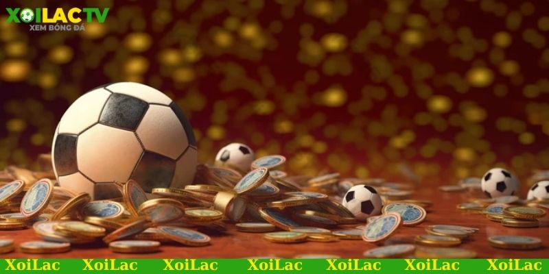 Nên cân bằng cuộc sống và chơi có trách nhiệm